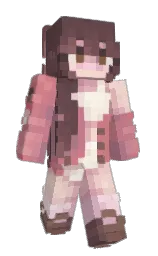 Minecraft skin — Classic model