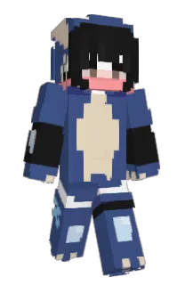 Front of nitth's skin