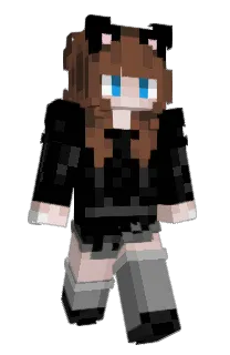 Front of Skyco11's skin