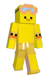 Front of Paratwo's skin
