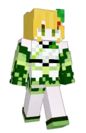 Skin preview