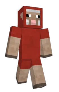 Front of Noltito's skin
