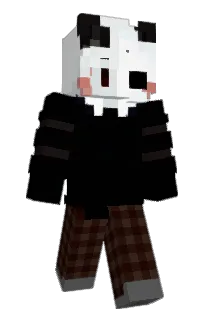Front of 0xxe's skin