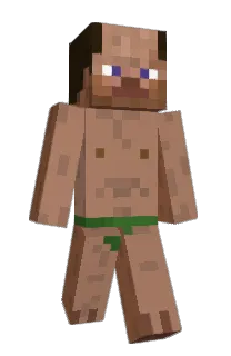 Front of Minecraft skin