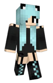 Skin preview