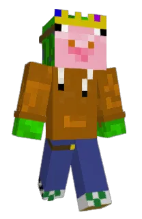 ttde1's Minecraft skin