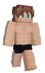 Classic Minecraft skin