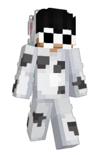 Front of stuffPing's skin