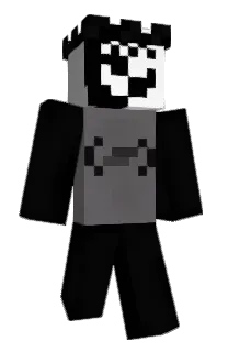Front of SX_10's skin