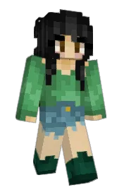 Skin preview