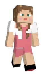 Slim Minecraft skin