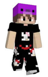 black and brandy Minecraft skin — Slim model