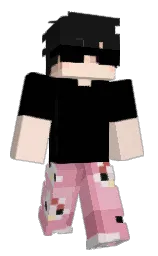 Minecraft skin — Classic model