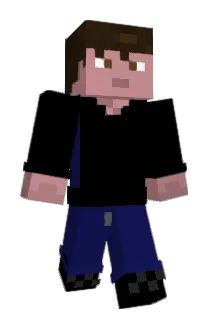 8826N Minecraft avatar full body