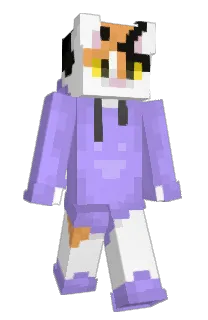 Front of KraftMinecraft's skin
