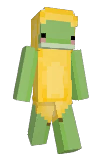 Front of Minecraft skin