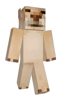 Suftik's Minecraft skin