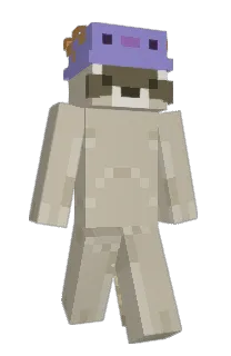 Front of feltme's skin