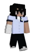 wwisty