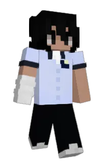 Front of Minecraft skin
