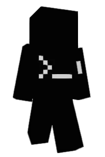 884g Minecraft avatar full body