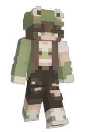 Skin preview