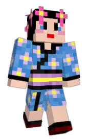 Skin preview