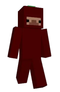 Front of nabs2's skin