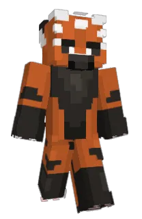 Front of lipy's skin