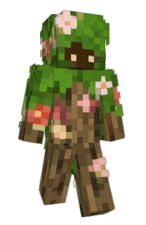 Front of Makk's skin