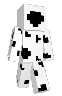 Front of Gamerles20's skin