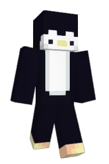 8896lh Minecraft avatar full body