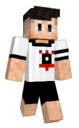 watchx_'s Minecraft skin wearing the Migrator cape