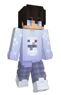 Front of sn0wfalling's skin