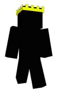 Front of LISXMC's skin