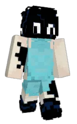 Minecraft skin — Classic model