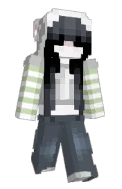Skin preview