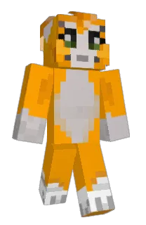 Front of Minecraft skin