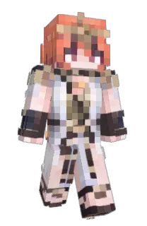 Front of PC110's skin