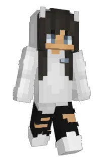 Front of Erdnit's skin
