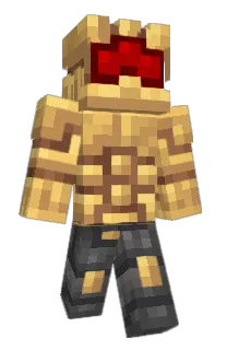 Front of Yeki's skin