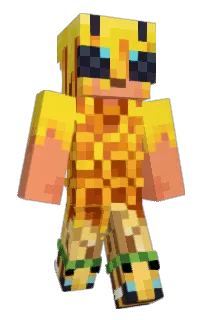 Front of xX_No_Income_Xx's skin
