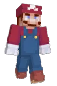 ViggenSH