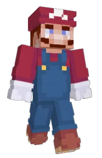 Front of ViggenSH's skin