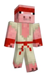 Front of jakesandpains's skin
