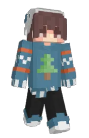 Skin preview