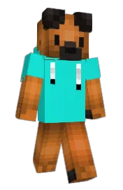 Skin preview