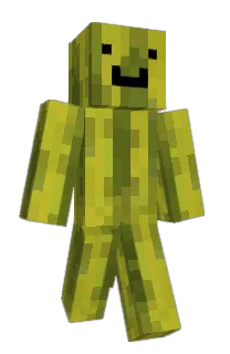 Front of eepymelon's skin