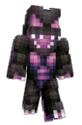 SilentCaptor