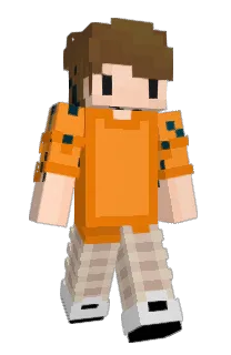 Front of Tominz's skin